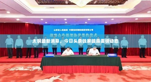 太钢最新消息，今日头条独家披露重磅动态