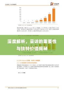 深度解析，采访的重要性与独特价值揭秘