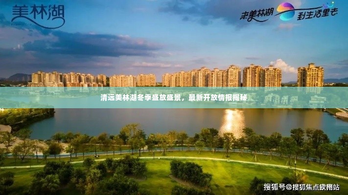 清远美林湖冬季盛放盛景，最新开放情报揭秘