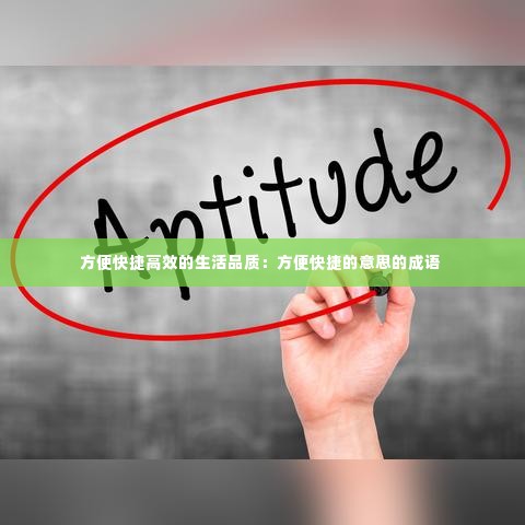 方便快捷高效的生活品质：方便快捷的意思的成语 