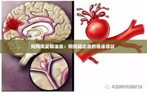 狗狗突发脑溢血：狗狗脑出血的临床症状 