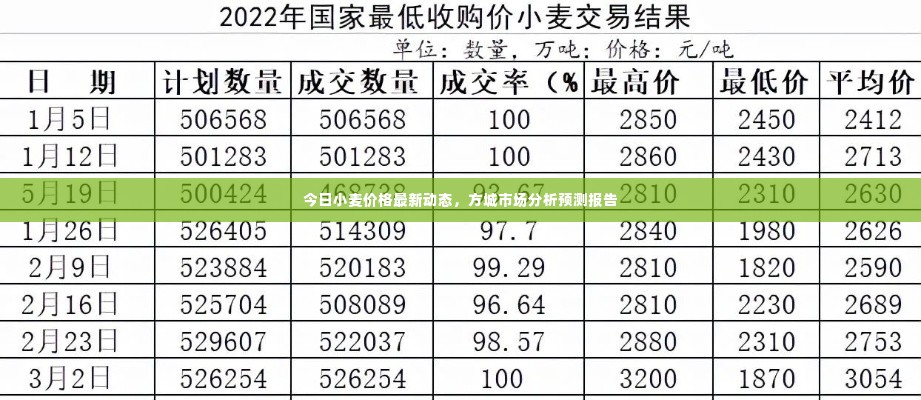今日小麦价格最新动态，方城市场分析预测报告