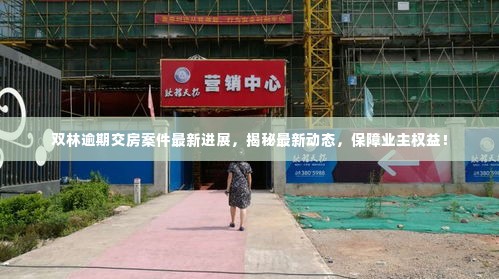双林逾期交房案件最新进展，揭秘最新动态，保障业主权益！