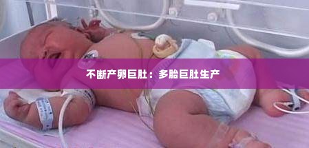 不断产卵巨肚：多胎巨肚生产 