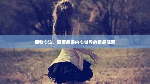 佛教心泣，深度解读内心世界的情感涟漪