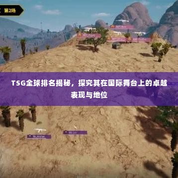 TSG全球排名揭秘，探究其在国际舞台上的卓越表现与地位