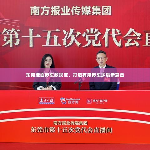东莞地面停车数规范，打造有序停车环境新篇章