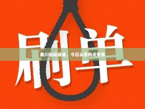 鑫川新闻速递，今日头条热点聚焦