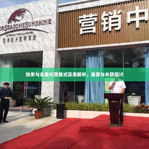 独家与全案代理模式深度解析，差异与关联探讨