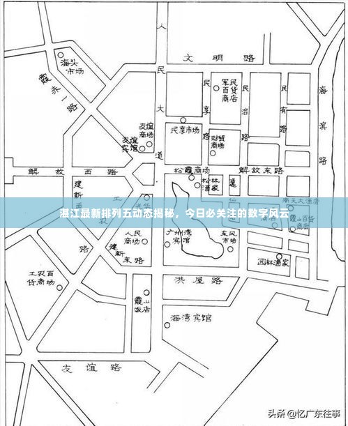 湛江最新排列五动态揭秘，今日必关注的数字风云