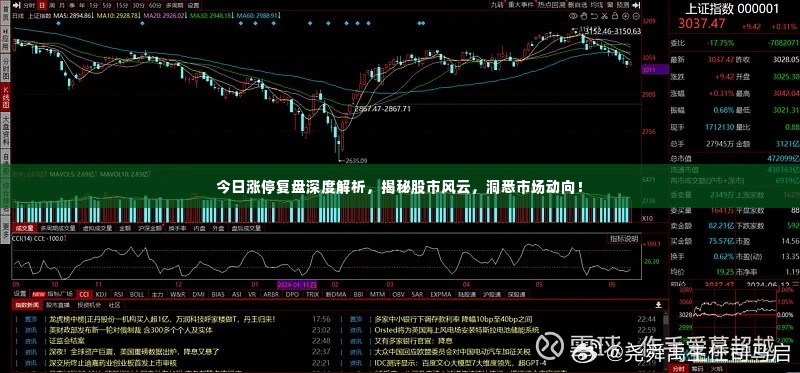 今日涨停复盘深度解析，揭秘股市风云，洞悉市场动向！