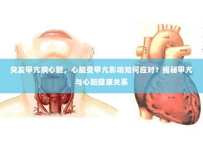 突发甲亢病心脏，心脏受甲亢影响如何应对？揭秘甲亢与心脏健康关系