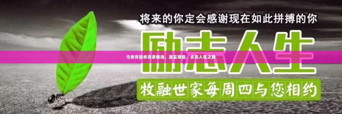 马老师励志语录精选，激发潜能，点亮人生之路