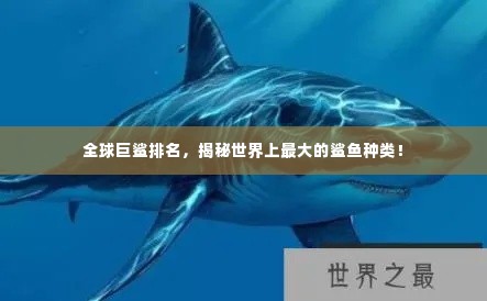 全球巨鲨排名，揭秘世界上最大的鲨鱼种类！