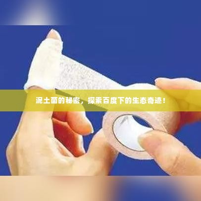 泥土菌的秘密，探索百度下的生态奇迹！