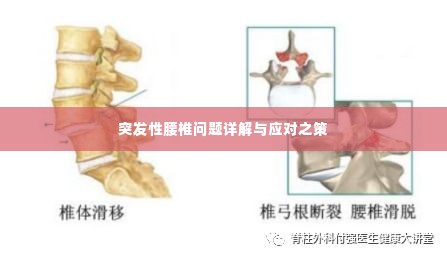 炙手可热 第2页