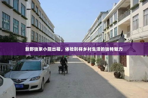 新野独家小院出租，体验别样乡村生活的独特魅力