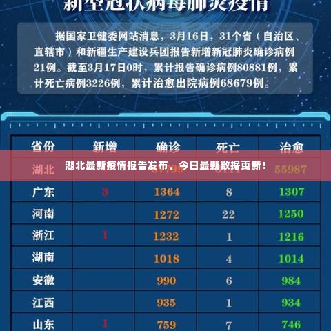 湖北最新疫情报告发布，今日最新数据更新！