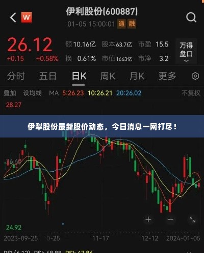 伊犁股份最新股价动态，今日消息一网打尽！