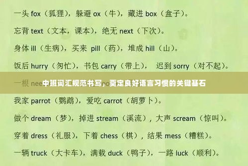 中班词汇规范书写，奠定良好语言习惯的关键基石