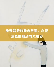 兔宠背后的励志故事，心灵深处的触动与大机密