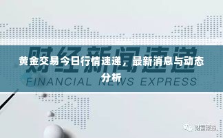黄金交易今日行情速递，最新消息与动态分析