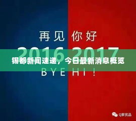 锡都新闻速递，今日最新消息概览