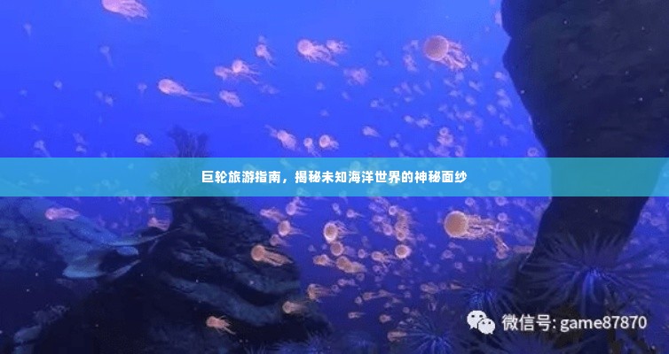 巨轮旅游指南，揭秘未知海洋世界的神秘面纱