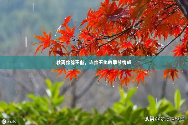 秋雨绵绵不断，连绵不绝的季节情感