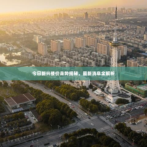 今日新兴楼价走势揭秘，最新消息全解析