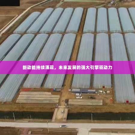 新动能持续涌现，未来发展的强大引擎驱动力