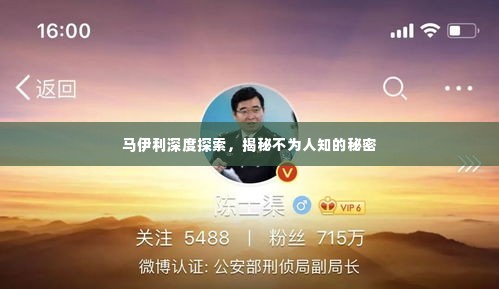 马伊利深度探索，揭秘不为人知的秘密