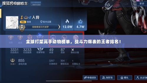 全球打架高手动物榜单，战斗力爆表的王者排名！