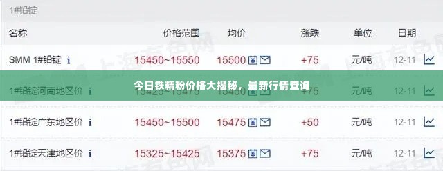 今日铁精粉价格大揭秘，最新行情查询