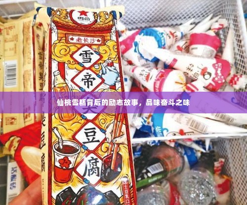 仙桃雪糕背后的励志故事，品味奋斗之味