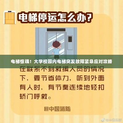 电梯惊魂！大学校园内电梯突发故障紧急应对攻略