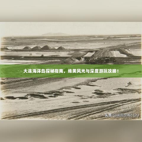 鸡飞狗跳 第2页