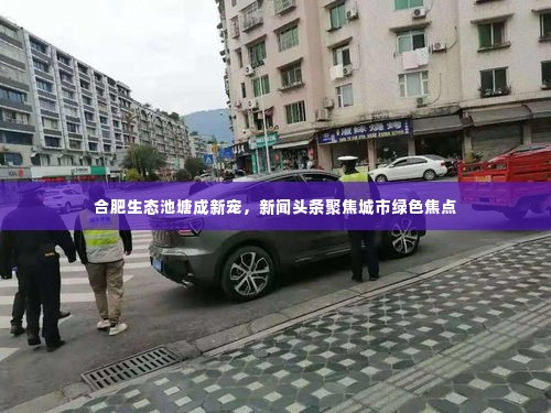 合肥生态池塘成新宠，新闻头条聚焦城市绿色焦点