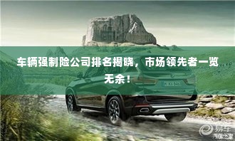 车辆强制险公司排名揭晓，市场领先者一览无余！