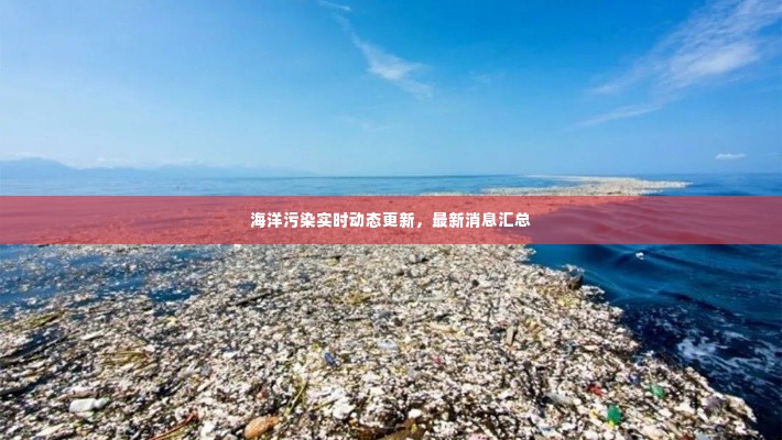 海洋污染实时动态更新，最新消息汇总