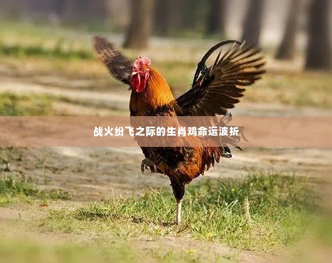 战火纷飞之际的生肖鸡命运波折