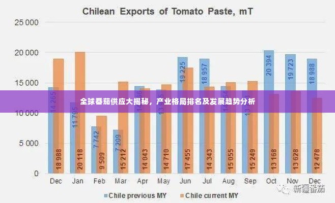 全球番茄供应大揭秘，产业格局排名及发展趋势分析