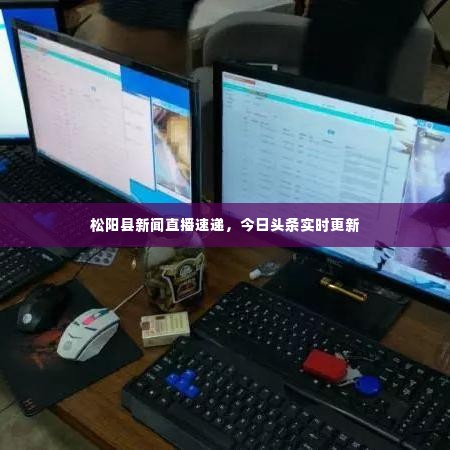 松阳县新闻直播速递，今日头条实时更新