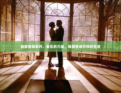 独家爱唱系列，音乐的力量，唤醒情感共鸣的乐章