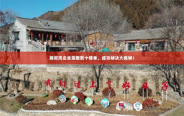 骆驼湾企业荣登前十榜单，成功秘诀大揭秘！