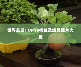 张弓拔弩 第2页