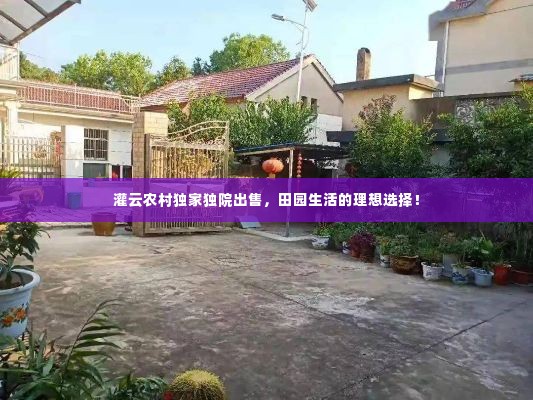 灌云农村独家独院出售，田园生活的理想选择！