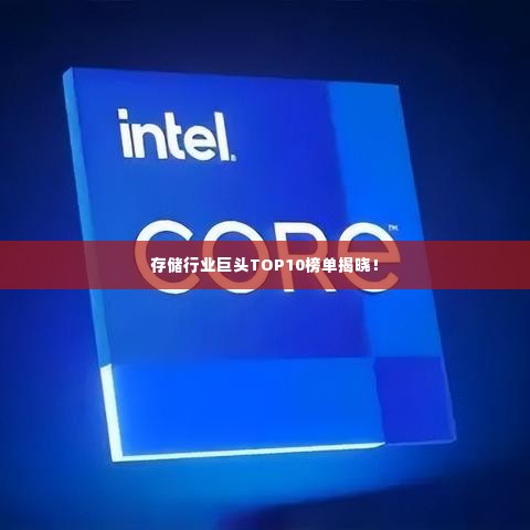 存储行业巨头TOP10榜单揭晓！