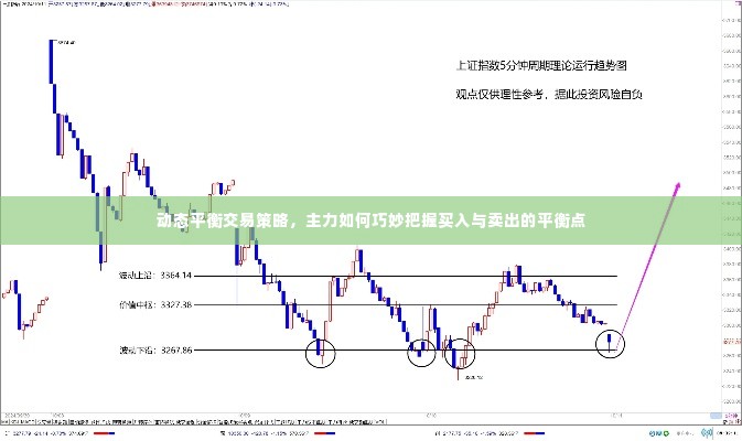 动态平衡交易策略，主力如何巧妙把握买入与卖出的平衡点
