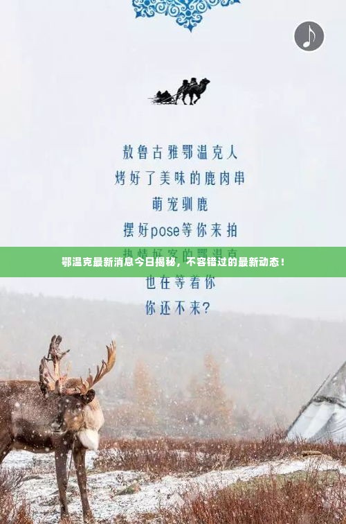 鄂温克最新消息今日揭秘，不容错过的最新动态！